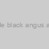 Cecina de black angus ahumada